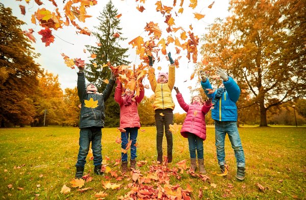 5 Kinder in bunten Herbstklamotten werfen Herbstblätter in die Luft